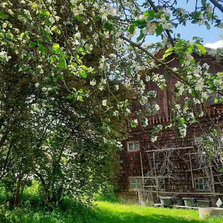 Ferienwohnung Kreiller Johanniskirchen エクステリア 写真