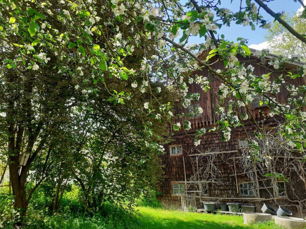 Ferienwohnung Kreiller Johanniskirchen エクステリア 写真