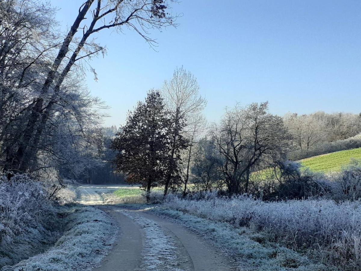 Ferienwohnung Kreiller Johanniskirchen エクステリア 写真